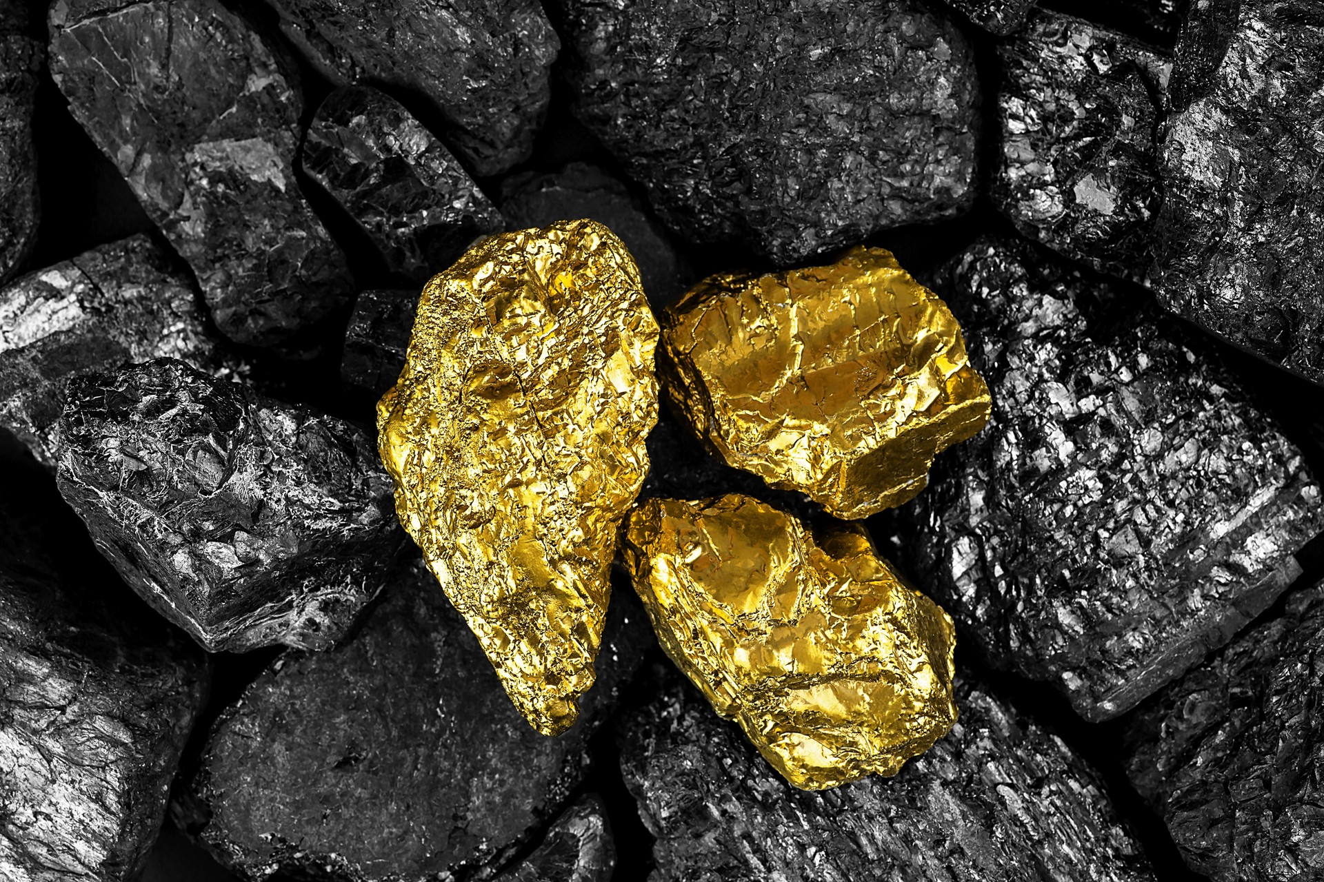 Shiny gold nuggets on black coals, view from above. Pieces of gold among the coal.